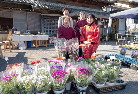 花彩花（はなやか／生花）:画像