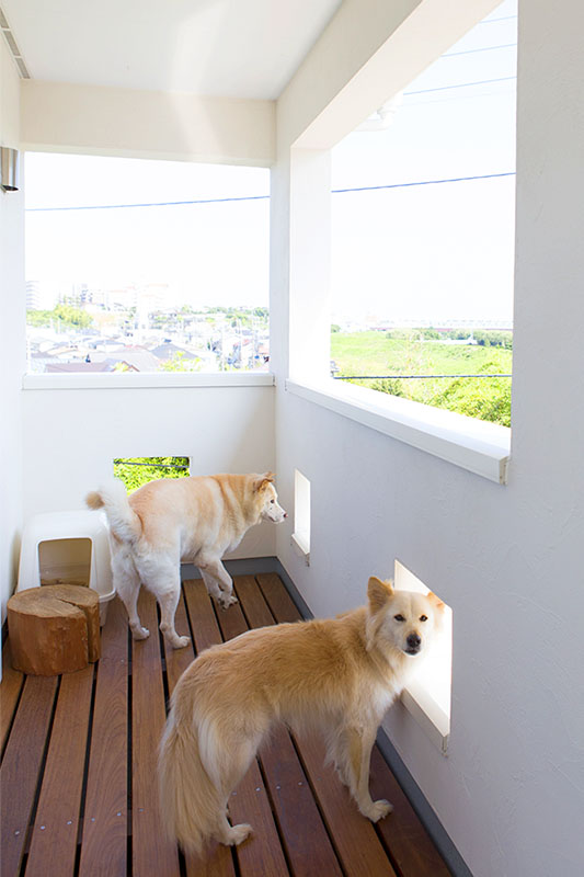 ペットと暮らす眺めのいい家  茨城の注文住宅 -住まい工房ナルシマ