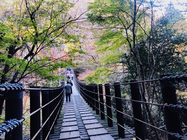 1泊2日の茨城旅行❣