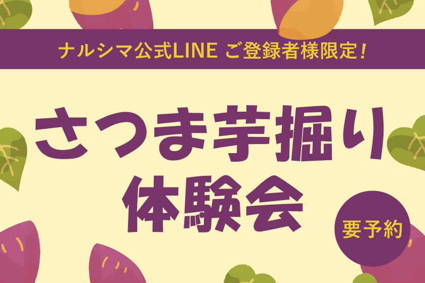 【要予約】ナルシマ農園にてさつま芋堀り体験会を開催します！：公式LINEご登録者限定